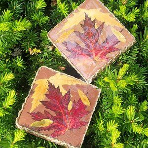Wooden Coasters with Real Autumn leaves - Handmade - Set of 2